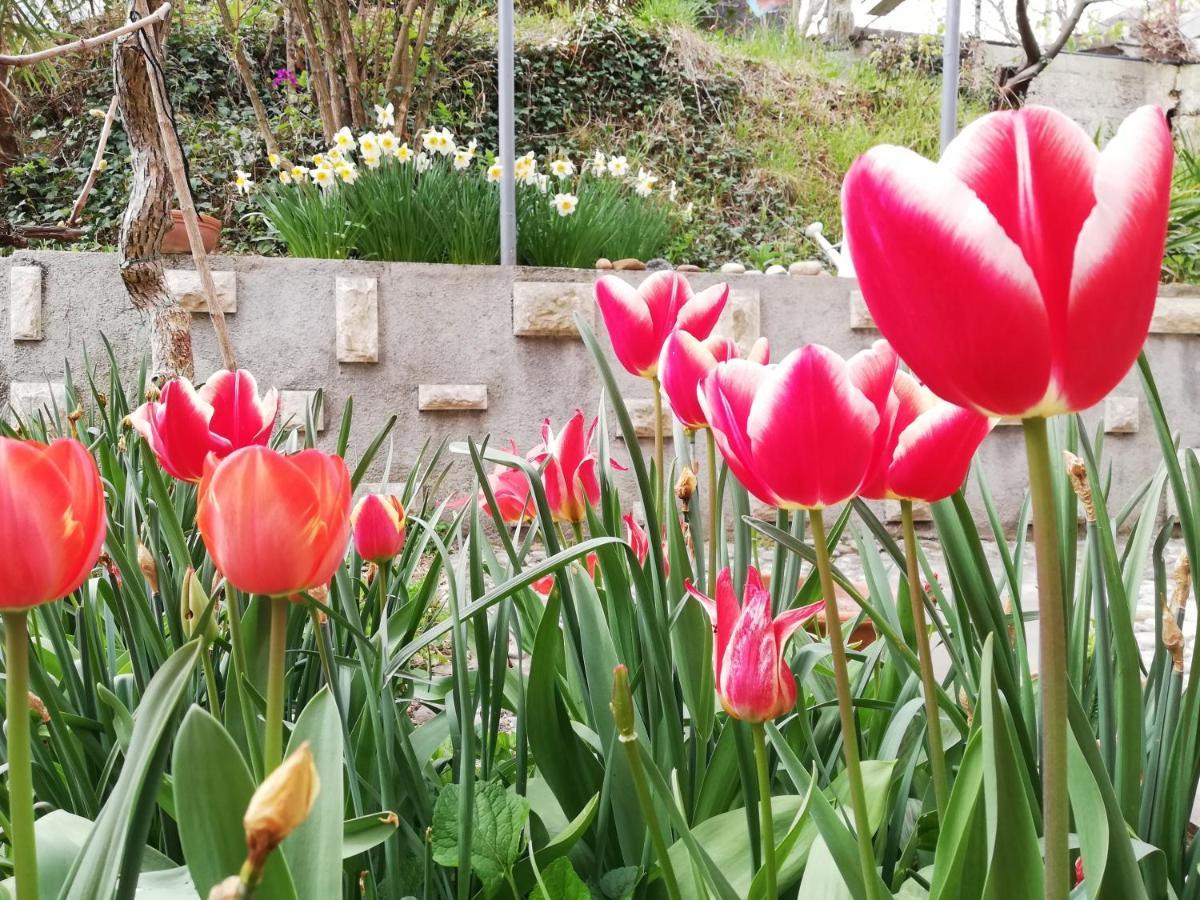 Vila Flori 科佩尔 外观 照片